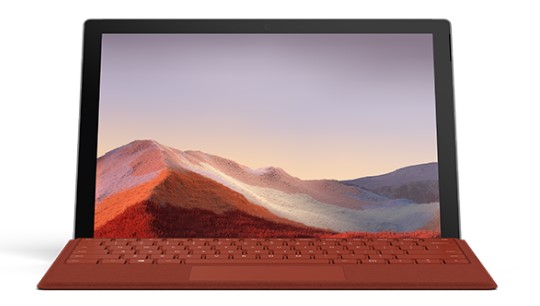萨嘎清洁和维护 Surface